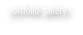portfolio gallery
